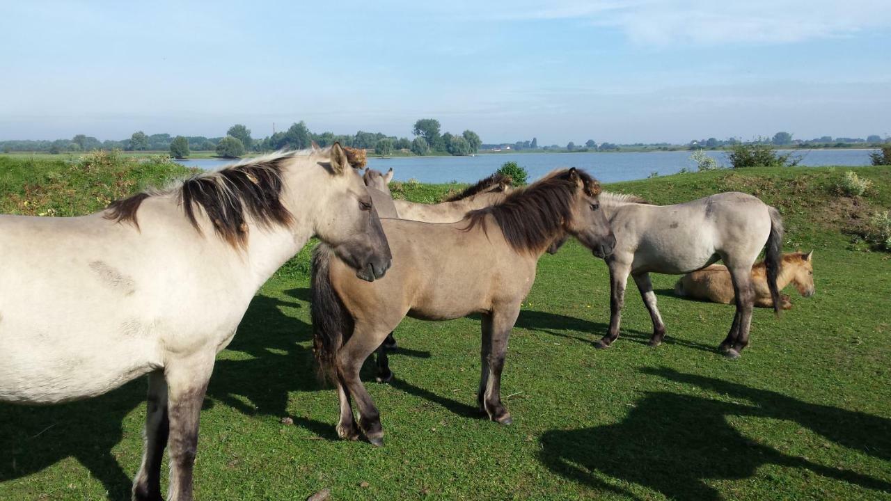 Bed And Breakfast Maas En Waal Beuningen  Exterior foto